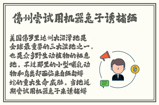 一本大道卡一卡二卡三乱码全集资源