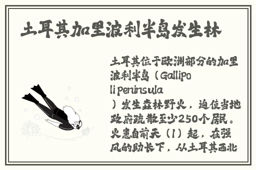 乱码一乱码二乱码三新区4679